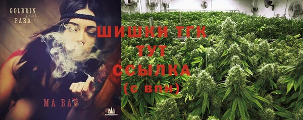 тгк Лиски