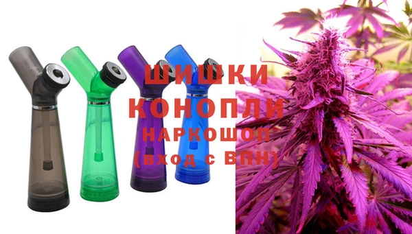 стаф Костерёво