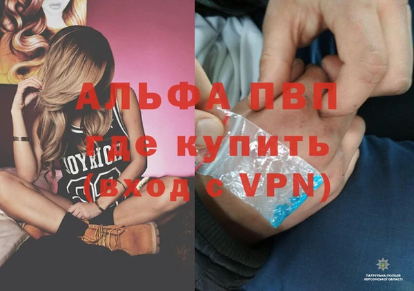 молекула духа Лихославль