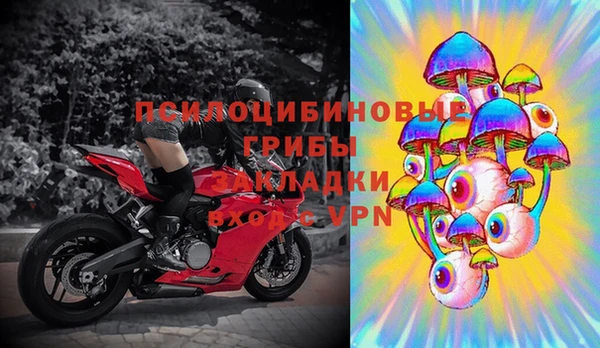 молекула духа Лихославль